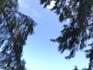コーラル島の青い空
