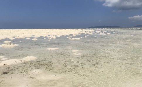 コンドイ浜の海