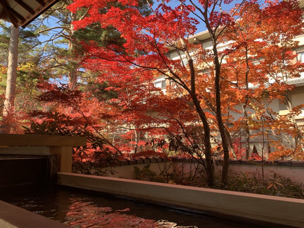 ホテル櫻井の紅葉